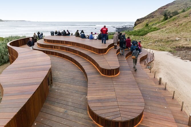 Phillip Island Penguin Parade and Koala Reserve Tour from Melbourne